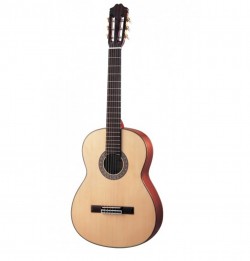 Guitar Kapok LC-18
